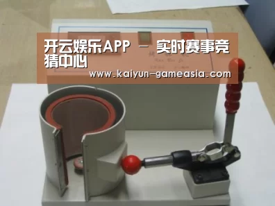 开云娱乐APP案例展示六