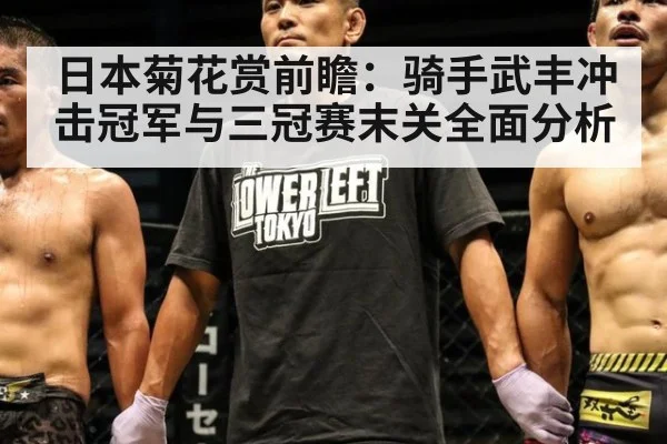 日本菊花赏前瞻：骑手武丰冲击冠军与三冠赛末关全面分析