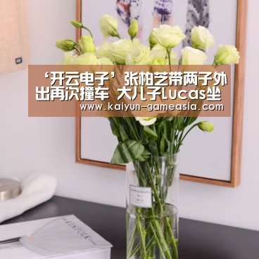 ‘开云电子’张柏芝带两子外出再次撞车 大儿子Lucas坐车头(图2) 开云电子