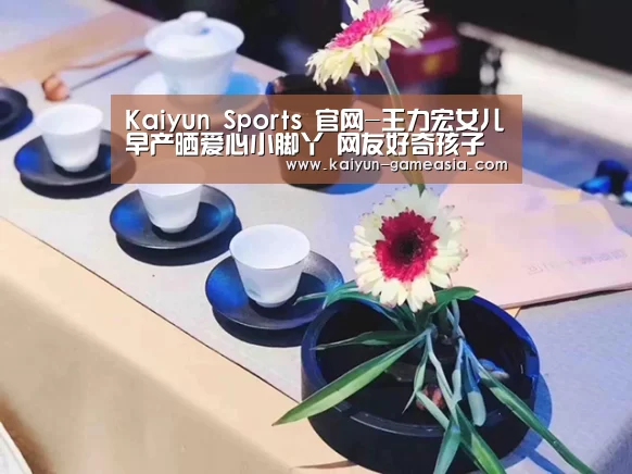 开云体育登录入口