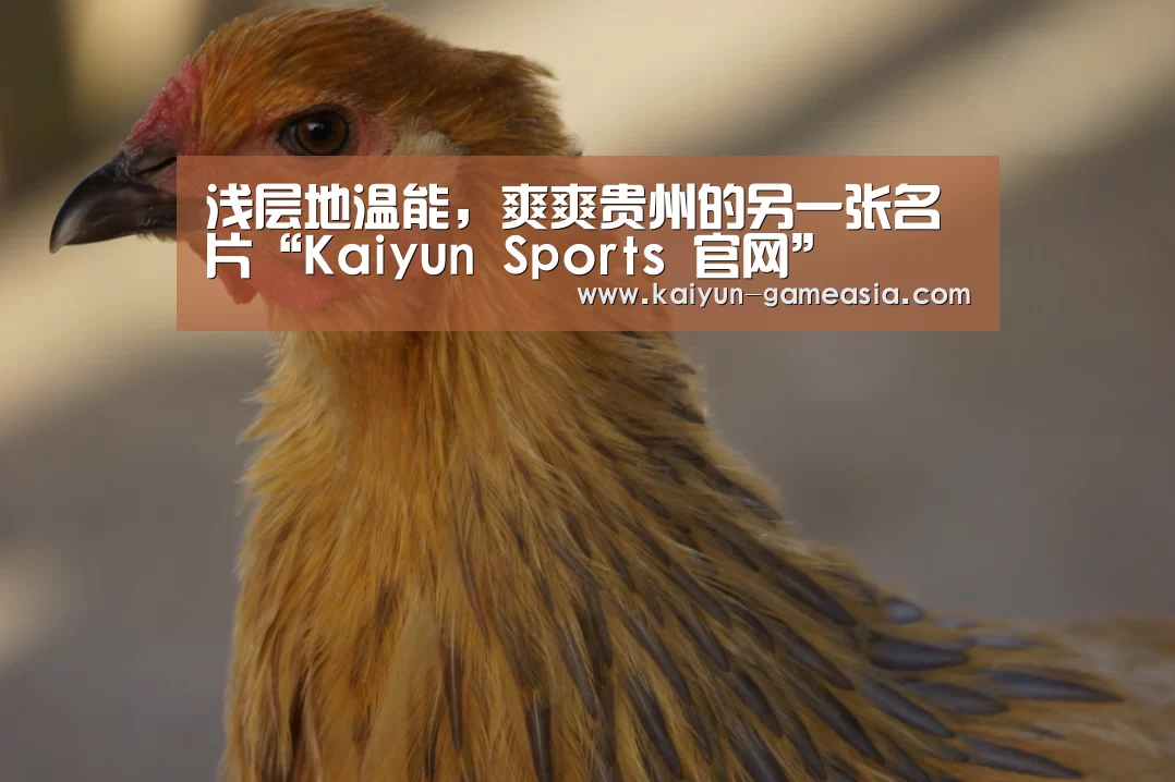 浅层地温能,爽爽贵州的另一张名片“Kaiyun Sports 官网”(图1) Kaiyun Sports 官网