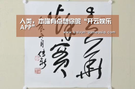 人类,本喵有点想你呢“开云娱乐APP”(图4) Kaiyun Sports 官网